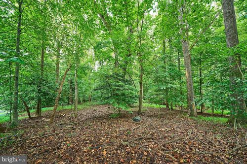 9113 Jeffery Rd, GREAT FALLS, VA, 22066-4120 | Card Image