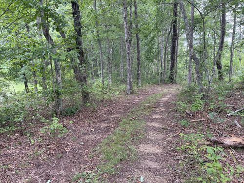42 Chickory Ln, Monteagle, TN, 37356-5001 | Card Image