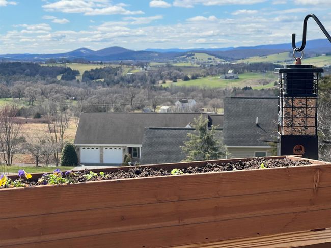 368 Broadmoor Ln, House other with 3 bedrooms, 3 bathrooms and null parking in Broadway VA | Image 27