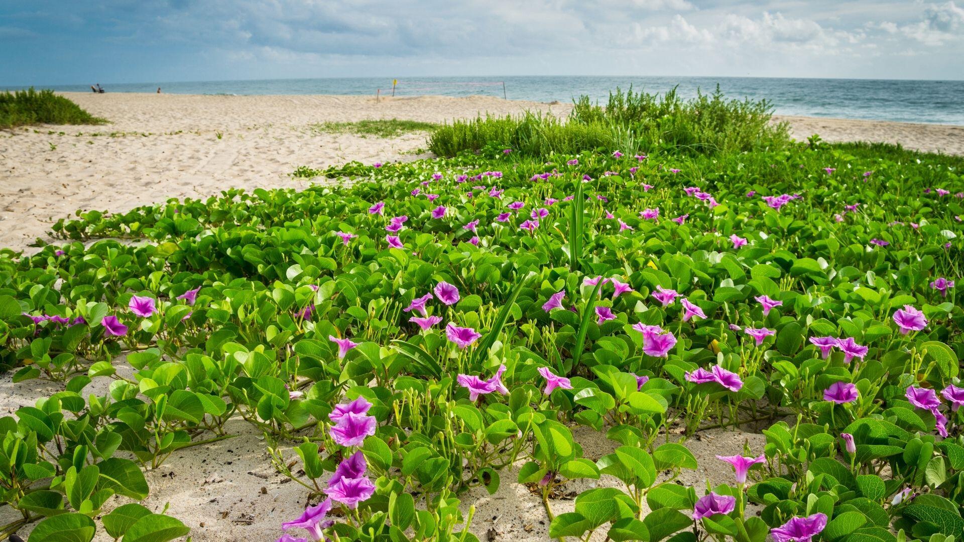 Land in Fort Pierce 4