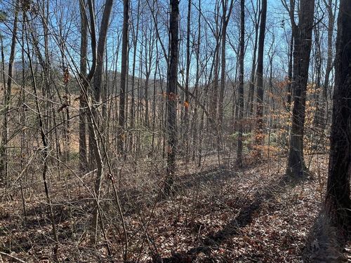 Lot #12E The Woodlands, Hayesville, NC, 28904-4895 | Card Image