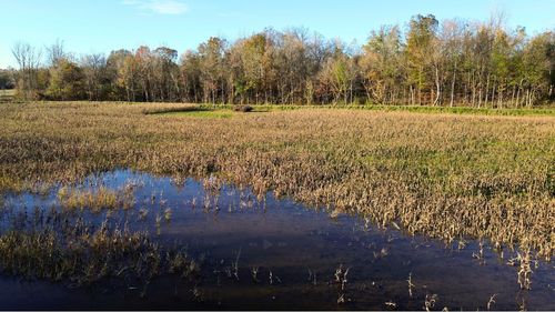 129 Tom White Rd, Big Sandy, TN, 38221-5139 | Card Image