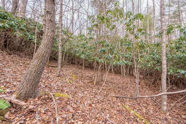 000 Miriam Road, Home with 0 bedrooms, 0 bathrooms and null parking in Dugspur VA | Image 13