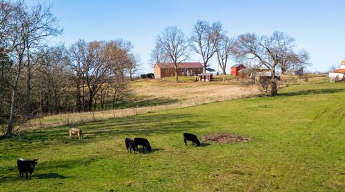 171 Uselton Rd, Shelbyville, TN, 37160-6448 | Card Image