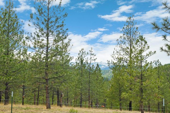 Mountain views | Image 52