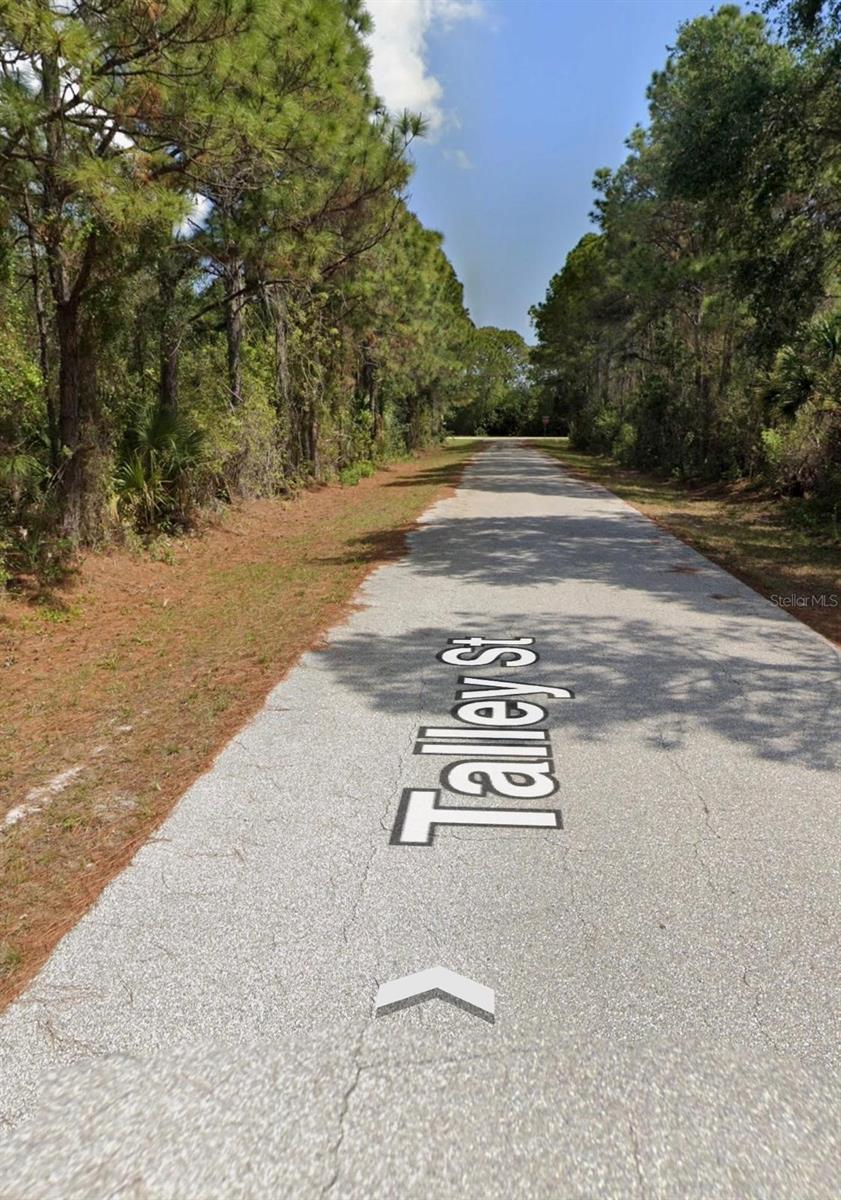 Land in PORT CHARLOTTE 3