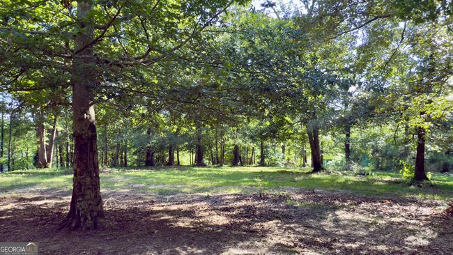 1780 Double Bridge Rd, House other with 3 bedrooms, 4 bathrooms and null parking in Demorest GA | Image 83