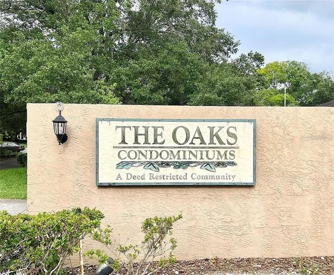APT-201 - 4207 Winding Moss Trl, Condo with 2 bedrooms, 2 bathrooms and null parking in TAMPA FL | Image 30