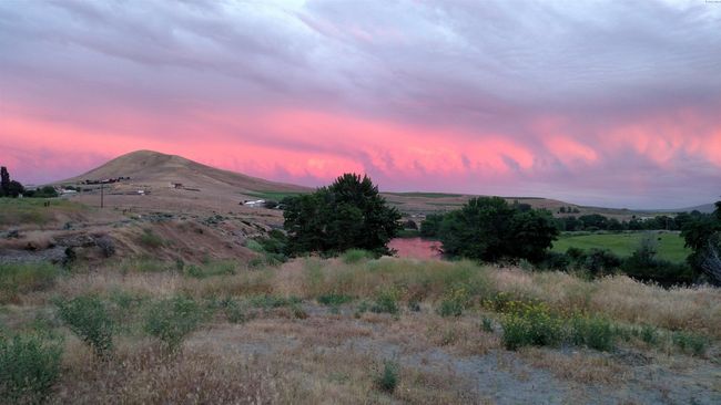 70212 N Demoss Rd., Home with 0 bedrooms, 0 bathrooms and null parking in Benton City WA | Image 12