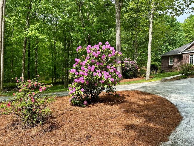 23677 Archery Range Rd, House other with 3 bedrooms, 3 bathrooms and 4 parking in Bristol VA | Image 9