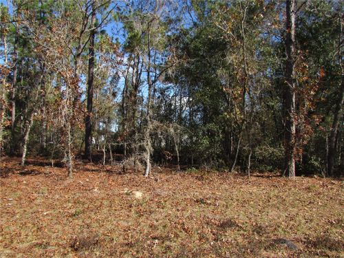 Lot 18 Sw 156th Ct, OCALA, FL, 34481-1044 | Card Image