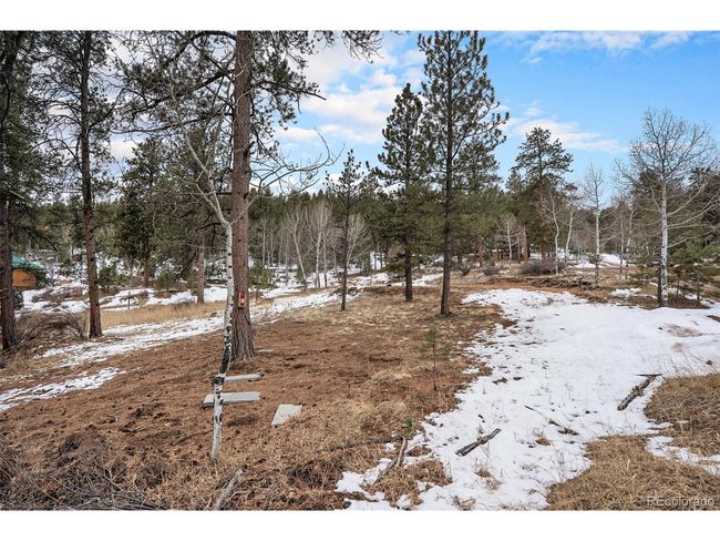 12362 S Polly Dr, Home with 0 bedrooms, 0 bathrooms and null parking in Pine CO | Image 7