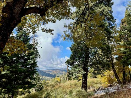 10 Acres Greenfield Way, Palomar Mountain, CA, 92060 | Card Image