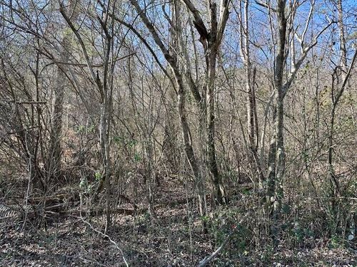 11439 Higdon St, Soddy Daisy, TN, 37379-6803 | Card Image