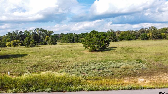 16078 Aniston Ln, Home with 0 bedrooms, 0 bathrooms and null parking in Flint TX | Image 16