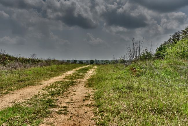 View of road with a rural view | Image 20