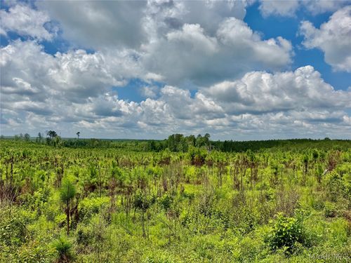 00 King Cemetery Road, Evergreen, AL, 36401 | Card Image