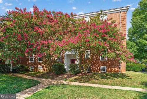 b14-3815 Rodman St Nw, WASHINGTON, DC, 20016-2815 | Card Image
