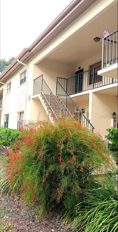 203-1702 Seascape Cir, TARPON SPRINGS, FL, 34689-2907 | Card Image