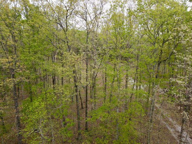 0 Deerwood Dr, Home with 0 bedrooms, 0 bathrooms and null parking in Sewanee TN | Image 48