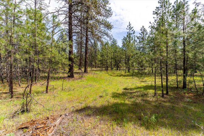 6574 Kate Dr, Home with 0 bedrooms, 0 bathrooms and null parking in Nine Mile Falls WA | Image 7