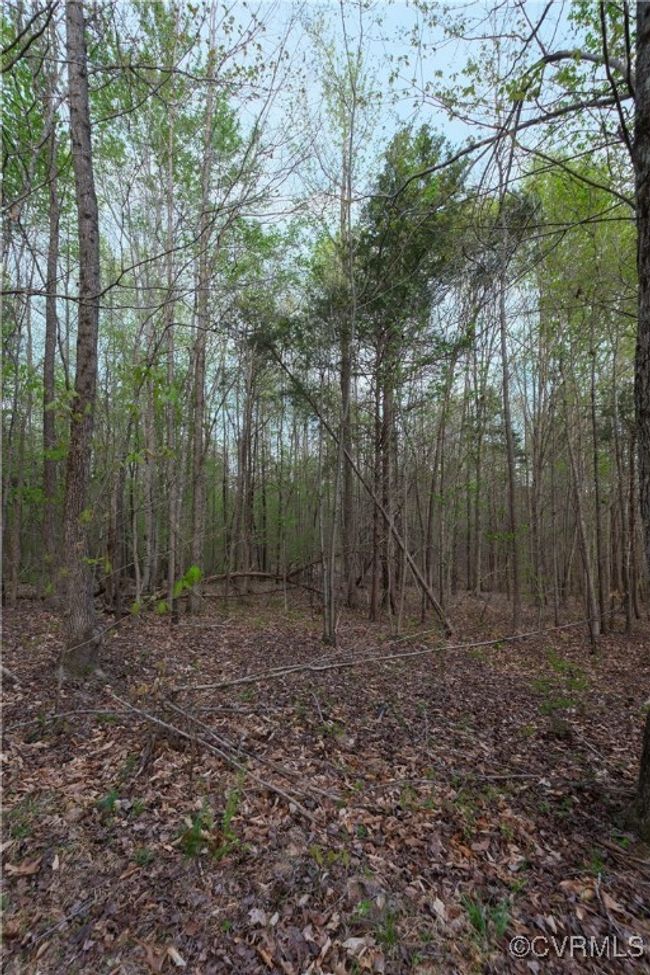 View of landscape featuring a forest view | Image 8