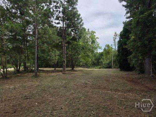 0 Dean Nichols Road, Portal, GA, 30450 | Card Image