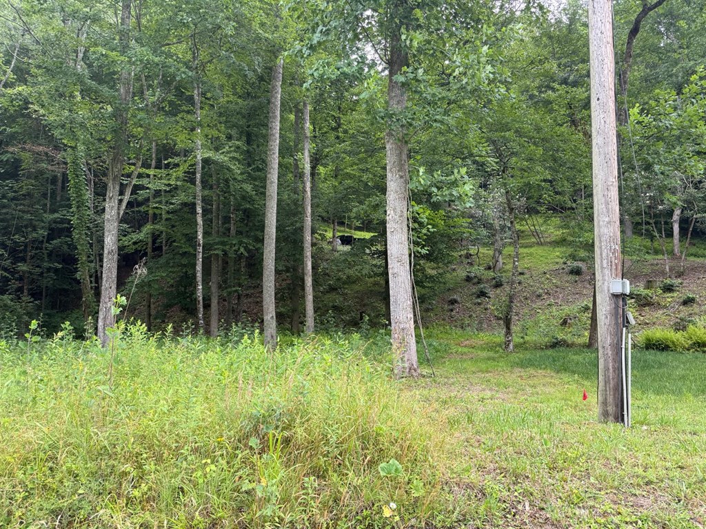Land in Franklin 5