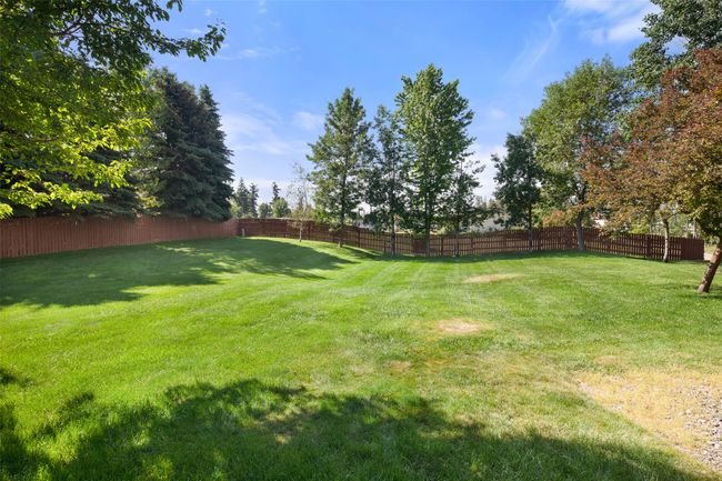 Grassy lawn | Image 40