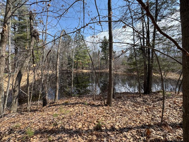 46128 Starch Rd, House other with 3 bedrooms, 1 bathrooms and null parking in Bruno MN | Image 9