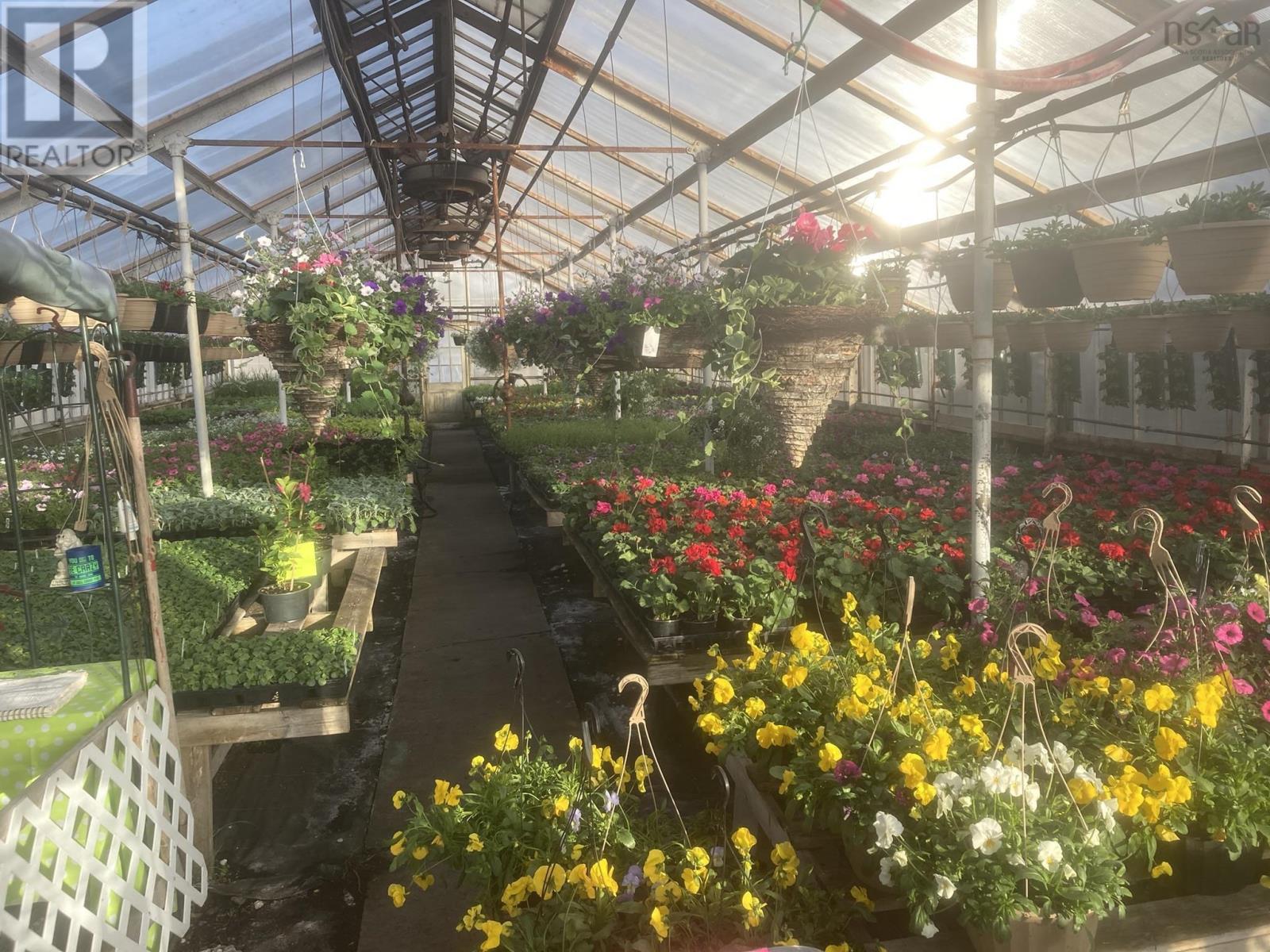 Business Opportunity in Upper North Sydney 3