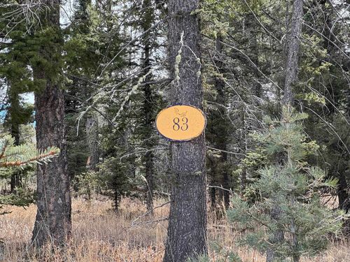 Lot 83 Elk Horn Dr, Angel Fire, NM, 87710 | Card Image