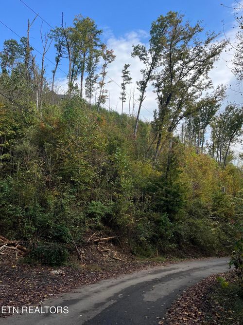 Lot 529 Deep Hollow Ct, Gatlinburg, TN, 37738 | Card Image