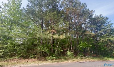 Lot 36 Hickory Avenue, Home with 0 bedrooms, 0 bathrooms and null parking in Haleyville AL | Image 2