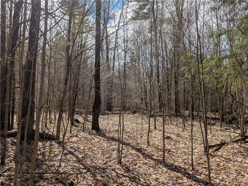 7418 Penney Settlement Rd, Port Leyden, NY, 13433-1917 | Card Image