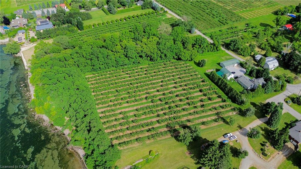 Farm in Beamsville 5