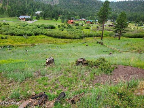 22 Lot Greer Mountain Drive, Greer, AZ, 85927 | Card Image