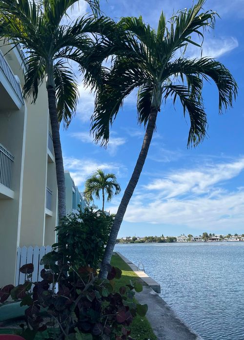 apt-103b-201 Coppitt Rd, Key West, FL, 33040-5469 | Card Image