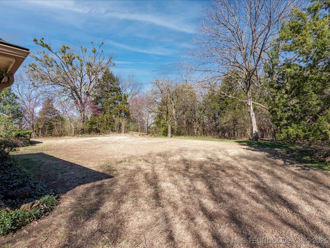View of backyard and wooded lot | Image 46