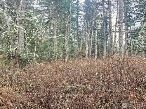 4 NKA W Go Onna Drive, Quilcene, WA, 98376 | Card Image