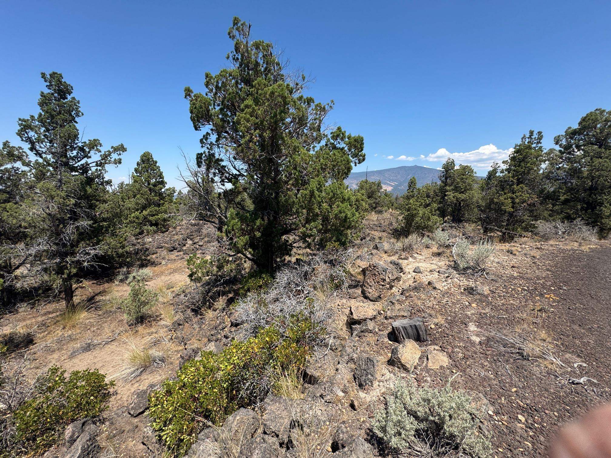 Land in Montague 3