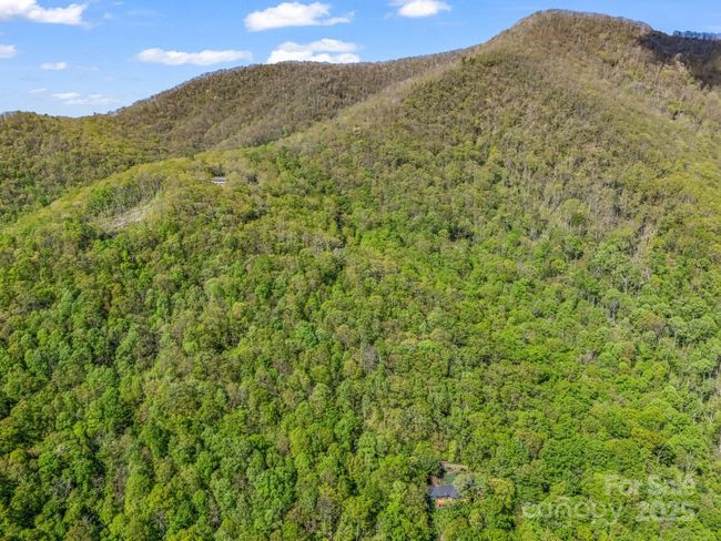 8 White Birch Ct, Home with 0 bedrooms, 0 bathrooms and null parking in Black Mountain NC | Image 16