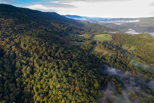 0 Robertson Mountain Rd, Narrows, VA, 24124 | Card Image