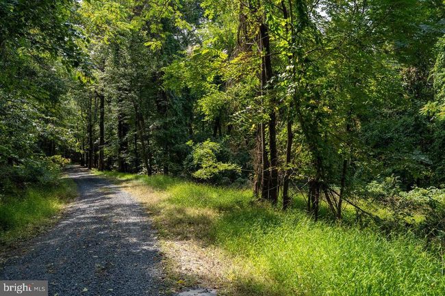 Lot 3 Price Ridge Rd, Home with 0 bedrooms, 0 bathrooms and null parking in STANLEY VA | Image 32