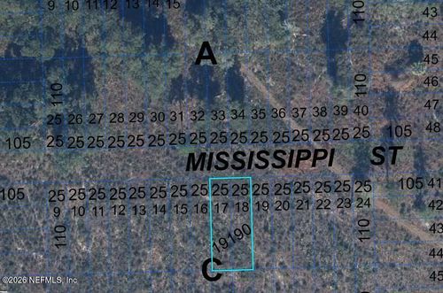 000 Mississippi Ave, Hawthorne, FL, 32640 | Card Image