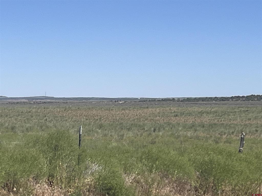 Land in Dove Creek 3
