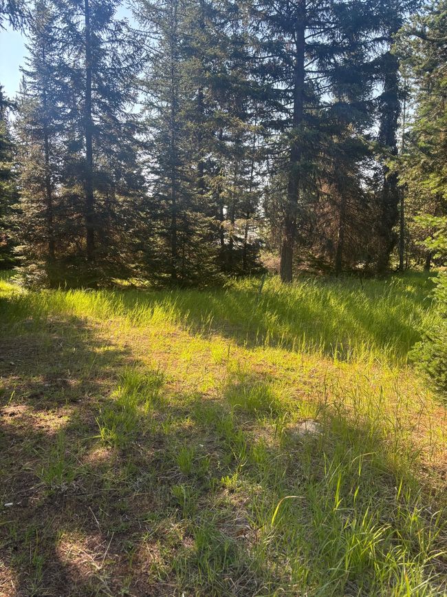 72 Keystone Flats Rd, House other with 3 bedrooms, 2 bathrooms and null parking in Libby MT | Image 16