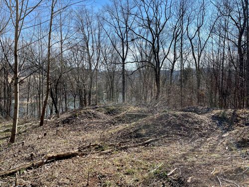 1084 Biltmore Pl, Piney Flats, TN, 37686-3047 | Card Image