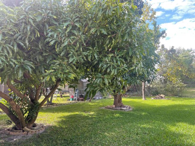 1072 Sw Castaneda Ln, House other with 3 bedrooms, 2 bathrooms and null parking in Port St. Lucie FL | Image 16