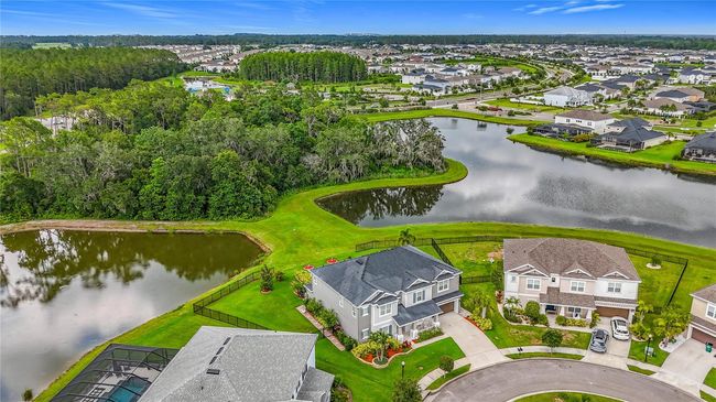 33668 Willow Point Ct, House other with 5 bedrooms, 4 bathrooms and null parking in WESLEY CHAPEL FL | Image 81